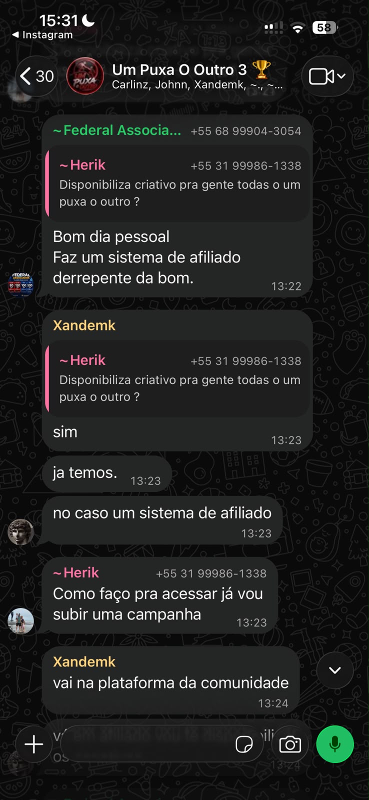 Conversa real do grupo no WhatsApp